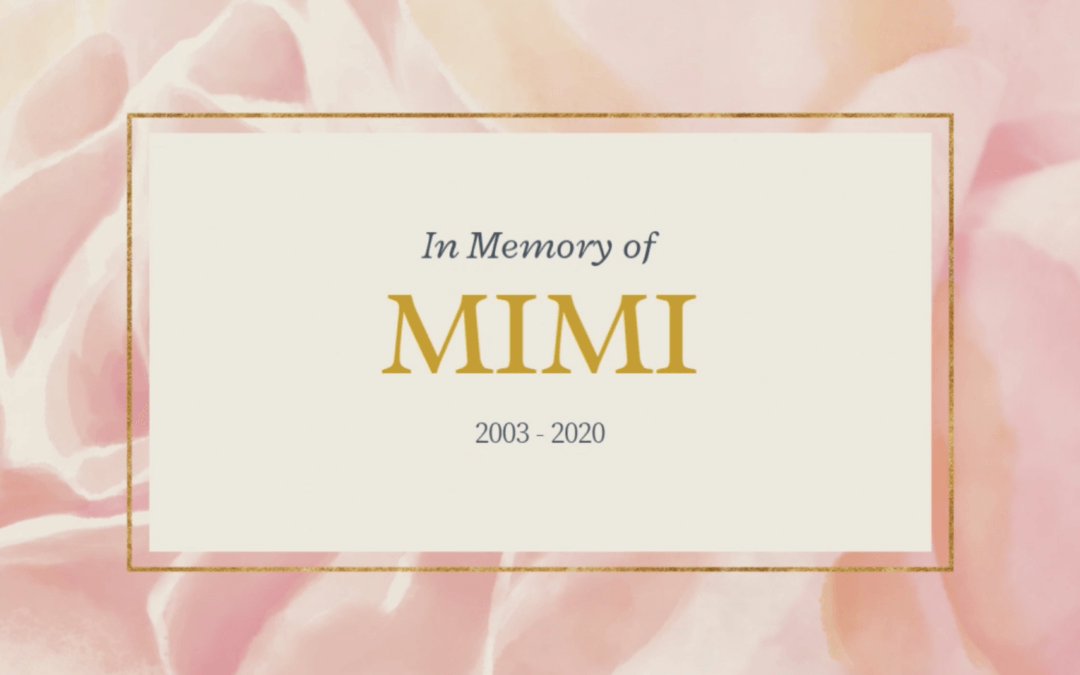 A Memorial for Mimi